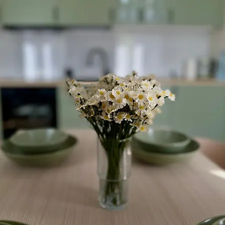 O4 Apartment *